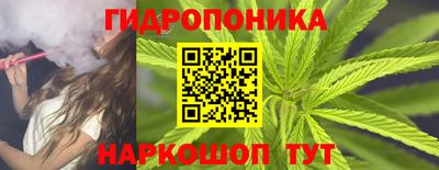 прущие грибы Можайск