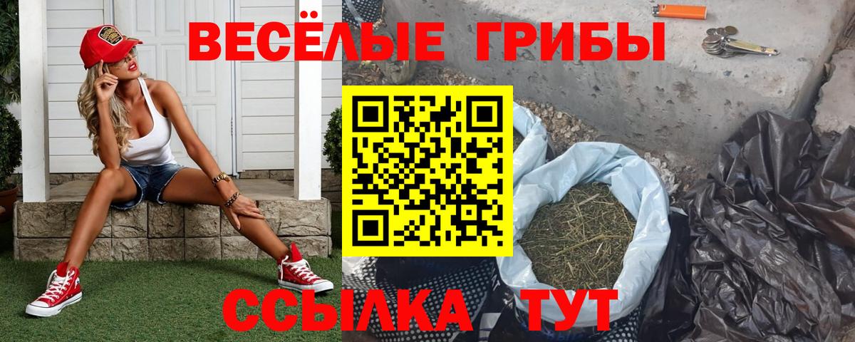 Юрга  Галлюциногенные грибы MAGIC MUSHROOMS  Вход с VPN  Галлюциногенные грибы GOLDEN TEACHER 
