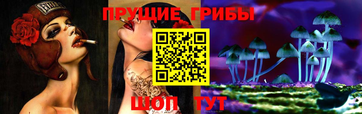 Псилоцибиновые грибы Magic Shrooms Юрга